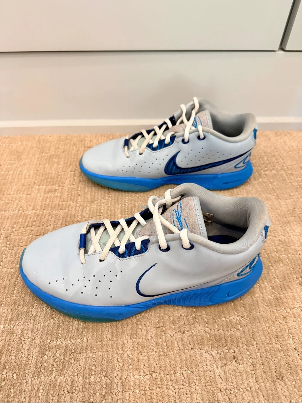 Nike LeBron 21 (XXI) boys basketball shoes